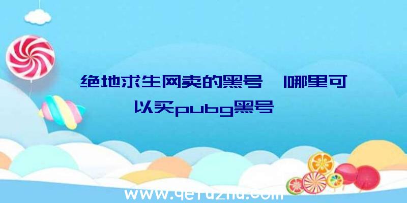 「绝地求生网卖的黑号」|哪里可以买pubg黑号